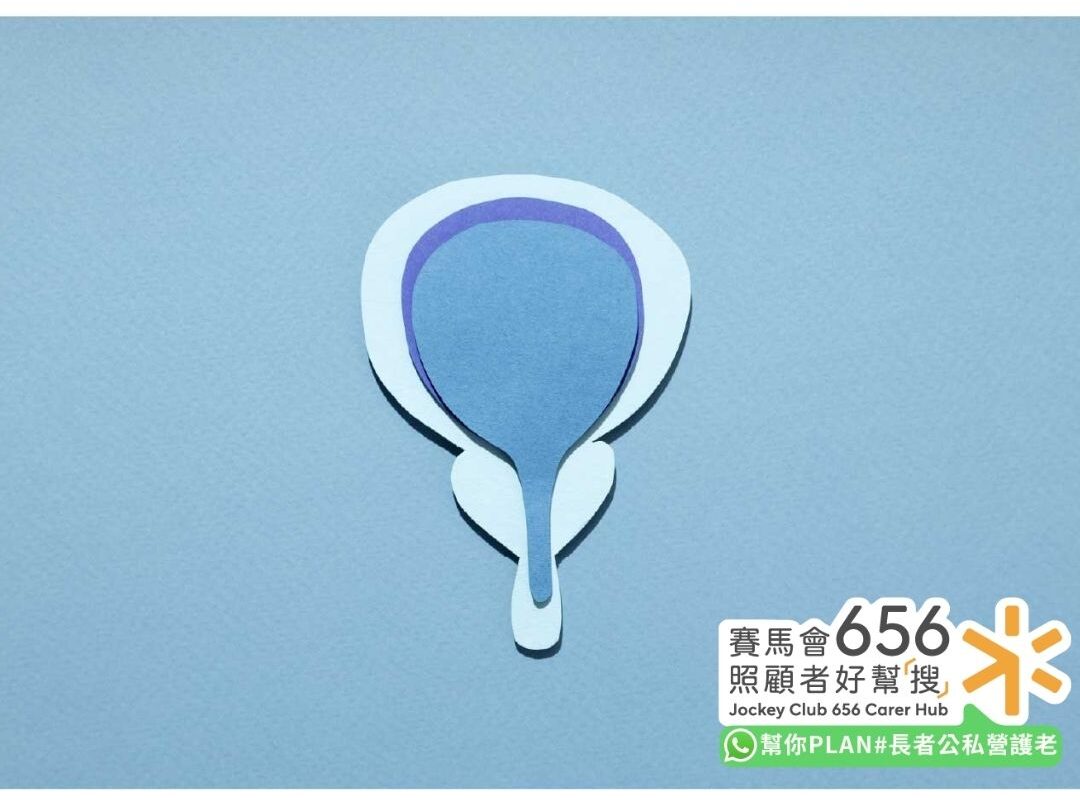 老人失禁護理指南:失禁原因、種類、護理用品與改善方法全解析 2 導致失禁的潛在因素